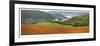 Redwood Forest Panorama-Donald Paulson-Framed Giclee Print