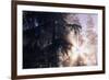 Redwood Forest with Early Morning Fog-Paul Souders-Framed Photographic Print