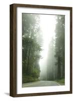 Redwood Highway 1-Erin Berzel-Framed Photographic Print