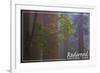 Redwood National Park - Forest Scene-Lantern Press-Framed Art Print