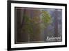 Redwood National Park - Forest Scene-Lantern Press-Framed Art Print