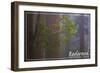 Redwood National Park - Forest Scene-Lantern Press-Framed Premium Giclee Print