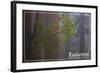 Redwood National Park - Forest Scene-Lantern Press-Framed Art Print