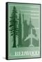 Redwood National Park - Redwood Relative Sizes-Lantern Press-Framed Stretched Canvas