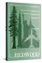 Redwood National Park - Redwood Relative Sizes-Lantern Press-Stretched Canvas