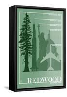 Redwood National Park - Redwood Relative Sizes-Lantern Press-Framed Stretched Canvas