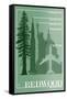 Redwood National Park - Redwood Relative Sizes-Lantern Press-Framed Stretched Canvas