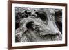 Redwood Root Driftwood-Robert Goldwitz-Framed Photographic Print