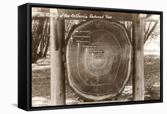 Redwood Section with Dates-null-Framed Stretched Canvas