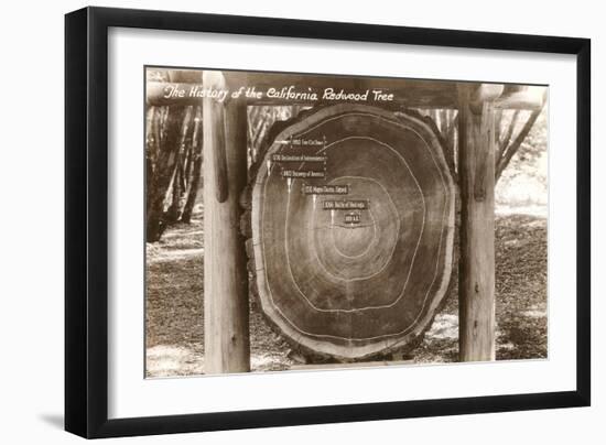 Redwood Section with Dates-null-Framed Art Print