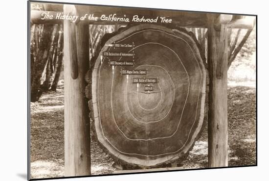 Redwood Section with Dates-null-Mounted Art Print