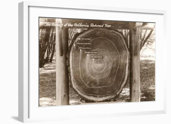 Redwood Section with Dates-null-Framed Art Print