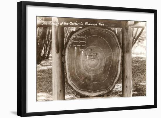 Redwood Section with Dates-null-Framed Art Print