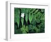 Redwood Sorrel and Bracken Fern-Scott T^ Smith-Framed Photographic Print