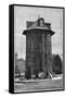 Redwood Tree House, 19th Century-Science Photo Library-Framed Stretched Canvas