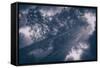 Redwood Tree Tops in Fog, Northern California Coast-Vincent James-Framed Stretched Canvas