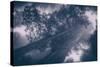 Redwood Tree Tops in Fog, Northern California Coast-Vincent James-Stretched Canvas