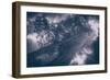 Redwood Tree Tops in Fog, Northern California Coast-Vincent James-Framed Photographic Print