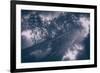 Redwood Tree Tops in Fog, Northern California Coast-Vincent James-Framed Photographic Print