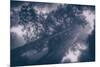 Redwood Tree Tops in Fog, Northern California Coast-Vincent James-Mounted Photographic Print