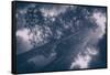 Redwood Tree Tops in Fog, Northern California Coast-Vincent James-Framed Stretched Canvas