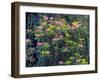 Redwood Trees and Rhodies in Bloom, Redwoods National Park, California, USA-Terry Eggers-Framed Photographic Print