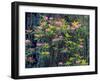 Redwood Trees and Rhodies in Bloom, Redwoods National Park, California, USA-Terry Eggers-Framed Photographic Print