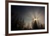 Redwood Trees in Morning Fog with Sunrays-Terry Eggers-Framed Photographic Print