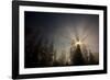 Redwood Trees in Morning Fog with Sunrays-Terry Eggers-Framed Photographic Print