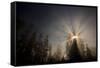 Redwood Trees in Morning Fog with Sunrays-Terry Eggers-Framed Stretched Canvas