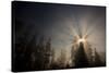 Redwood Trees in Morning Fog with Sunrays-Terry Eggers-Stretched Canvas