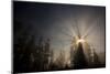 Redwood Trees in Morning Fog with Sunrays-Terry Eggers-Mounted Photographic Print