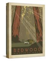 Redwood-Anderson Design Group-Stretched Canvas