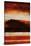 Redwood-Joshua Schicker-Stretched Canvas