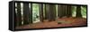 Redwoods 2-Wayne Bradbury-Framed Stretched Canvas