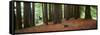 Redwoods 2-Wayne Bradbury-Framed Stretched Canvas