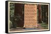 Redwoods, California - The Redwood Highway, Poem by Strauss-Lantern Press-Framed Stretched Canvas