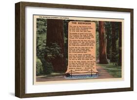 Redwoods, California - The Redwood Highway, Poem by Strauss-Lantern Press-Framed Art Print