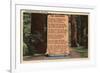 Redwoods, California - The Redwood Highway, Poem by Strauss-Lantern Press-Framed Art Print