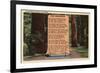 Redwoods, California - The Redwood Highway, Poem by Strauss-Lantern Press-Framed Art Print