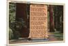 Redwoods, California - The Redwood Highway, Poem by Strauss-Lantern Press-Mounted Art Print