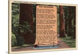 Redwoods, California - The Redwood Highway, Poem by Strauss-Lantern Press-Stretched Canvas