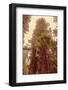 Redwoods II-Debra Van Swearingen-Framed Photographic Print
