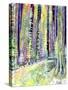 Redwoods Road Trip-Michelle Faber-Stretched Canvas