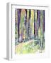 Redwoods Road Trip-Michelle Faber-Framed Giclee Print