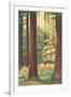 Redwoods Scene with People and Deer-null-Framed Art Print