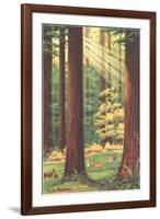 Redwoods Scene with People and Deer-null-Framed Art Print