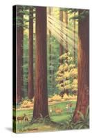 Redwoods Scene with People and Deer-null-Stretched Canvas