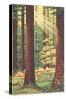 Redwoods Scene with People and Deer-null-Stretched Canvas