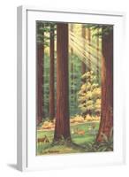 Redwoods Scene with People and Deer-null-Framed Art Print